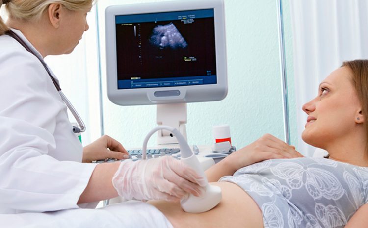  Pregnancies During Lockdown: Pregnant Women Fighting More Than a Virus