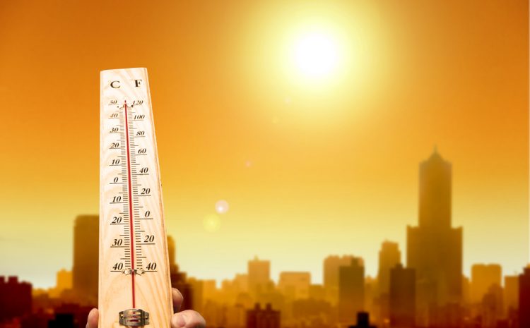 Five Things to Keep in Mind during a Heat Wave